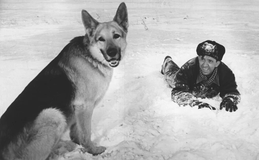 Кадр из к/ф "Ко мне Мухтар" с Ю. Никулиным