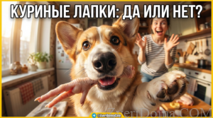 Собака ест вареные куриные лапы, можно ли давать подобный корм