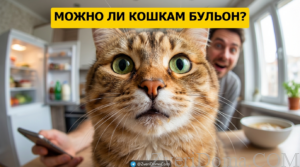 Кошка пьет куриный бульон из миски, интересуясь его вкусом