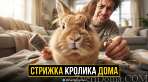 Декоративный кролик на столе во время стрижки когтей и шерсти