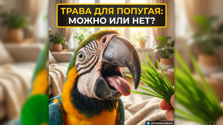 Попугай на фоне свежей травы, безопасной для кормления.