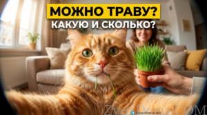 Кошка ест траву в домашних условиях, демонстрируя интерес к питанию
