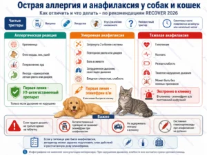 первая помощь при аллергии и анафилаксии собак и кошек